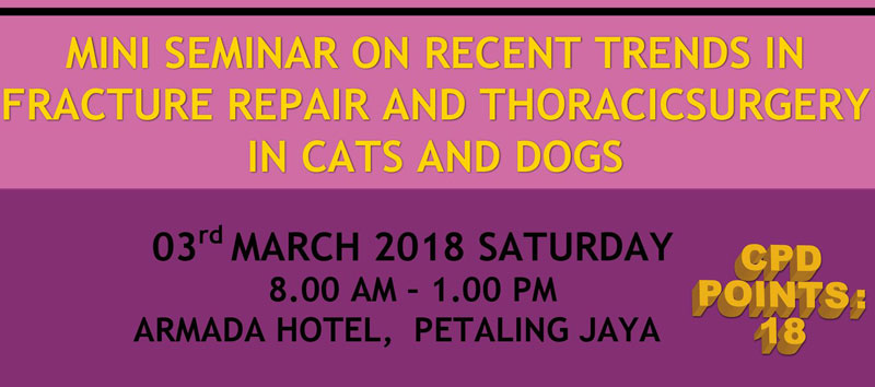 Read more about the article RECENT TRENDS IN FRACTURE REPAIR AND THORACIC SURGERY IN CATS AND DOGS
