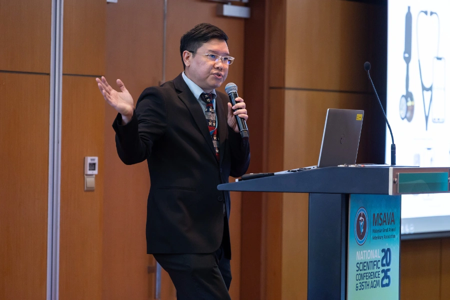 MSAVA NSC 2025 – STREAM 2 Day 1